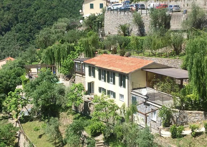 Il Girasole Semorile